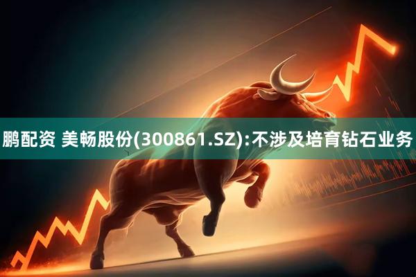 鹏配资 美畅股份(300861.SZ):不涉及培育钻石业务