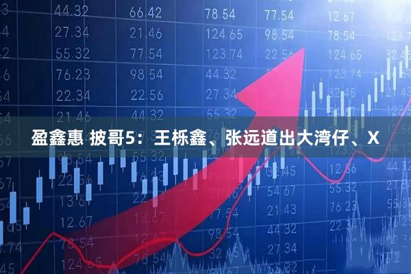 盈鑫惠 披哥5：王栎鑫、张远道出大湾仔、X